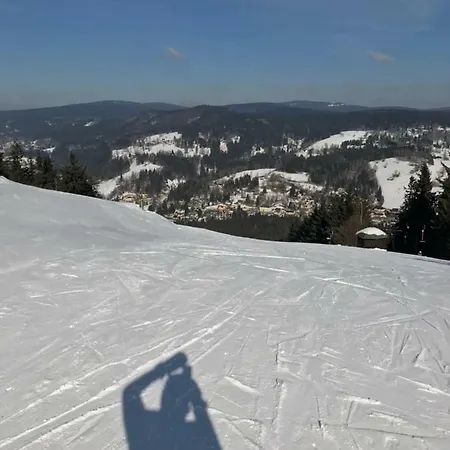 Sun & Snow Hollyhome تانفالد